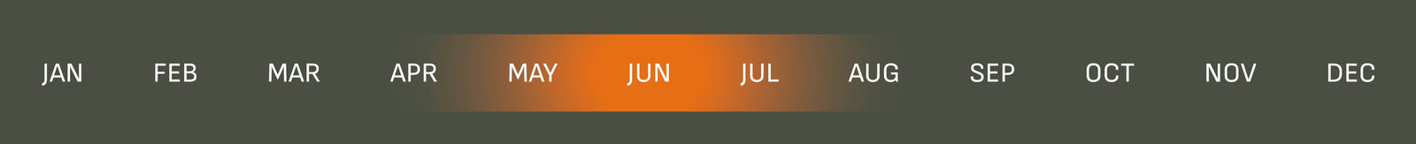 Month names displayed in a calendar format with 'JUN' highlighted in orange.