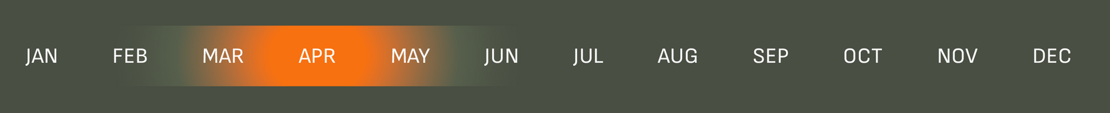 Gradient color bar with months labeled  on a dark background