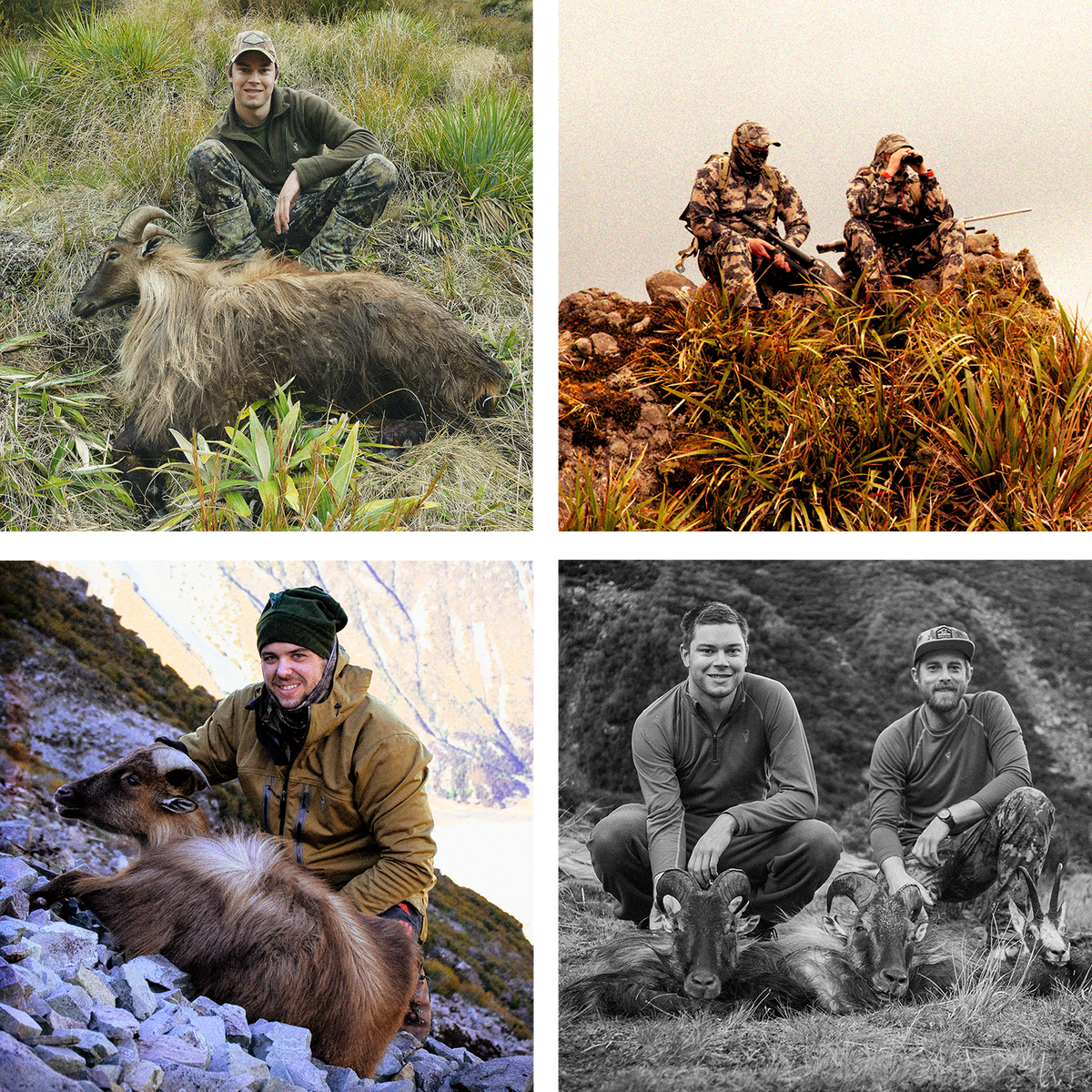 Celebrating 20 Years | Learn More - Hunters Element Australia