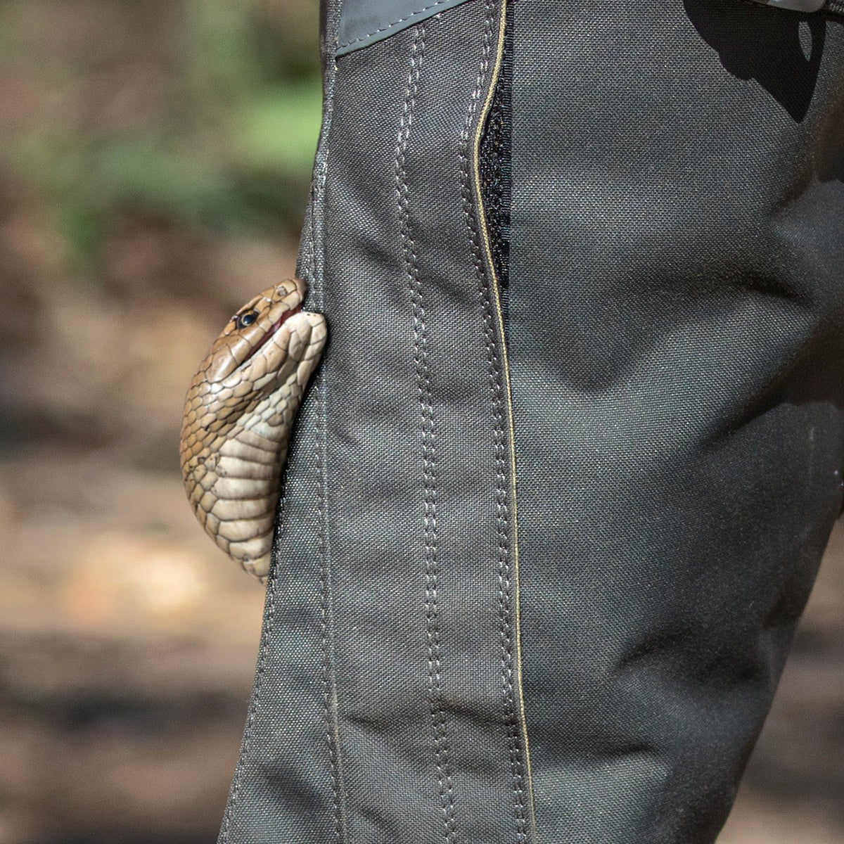 The Best Clothing To Wear for Hiking in Snake Country - Mapping Megan